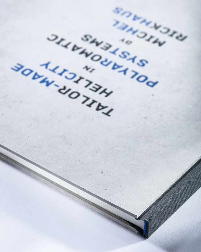 Martin Fischer Diplomarbeit Michael Rickhaus